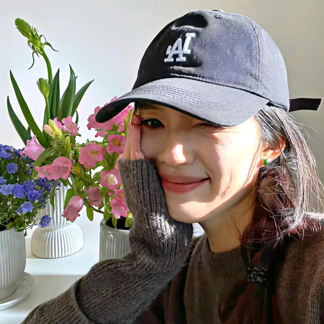 我私人的爱达荷